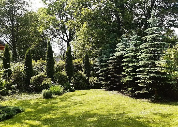 Pohulanka 扎科帕内